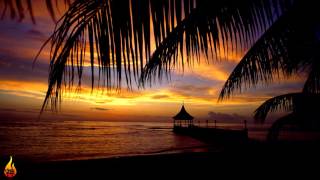 1 Hour Chill Out Reggae Island Music  Infest  Alific [upl. by Gnaoh]