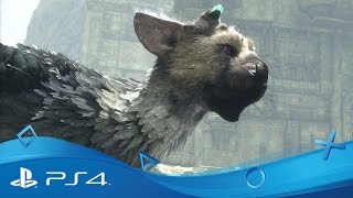 The Last Guardian  Launch Trailer  PS4 [upl. by Jona]