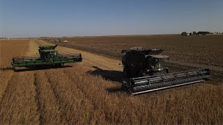 Fendt IDEAL Combine  Benchmarking  2020  Fendt [upl. by Aehtela653]