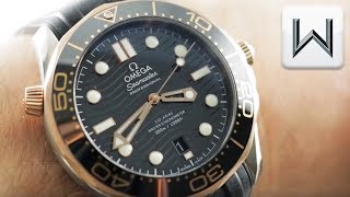 Omega Seamaster Diver 300M 21022422001002 Luxury Dive Watch Review [upl. by Nepean]