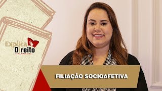 Explica Direito Filiação Socioafetiva  2019 [upl. by Akinohs]