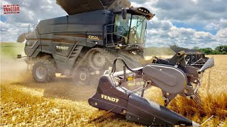 FENDT IDEAL 8T Combine Harvesting Wheat [upl. by Verger]