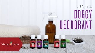 DIY Essential Oil Doggy Deodorant Young Living Essential Oils [upl. by Anauqahc]