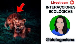 Interacciones biológicas  ecológicas [upl. by Chevy]