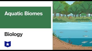 Aquatic Biomes  Biology [upl. by Eelir621]