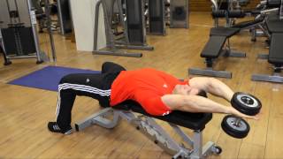 Dumbbell Pullover  Chest Exercise [upl. by Ranzini468]