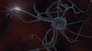 An Introduction to Neurons  BioVid Eisode 2 [upl. by Enaywd]