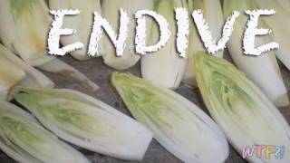 What Is Endive  Braised Endive Recipe [upl. by Girand969]