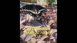 TROUBLE  Cage the Elephant  ‎RICKYisRAW [upl. by Ube]