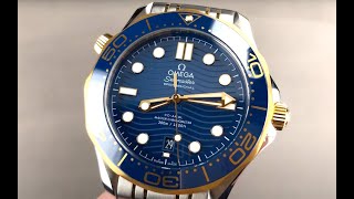 Omega Seamaster Diver 300M 21020422003001 Omega Watch Review [upl. by Teddie]