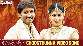 Choosthunna Song  Mogudu Video Songs  Gopichand Taapsee [upl. by Australia]