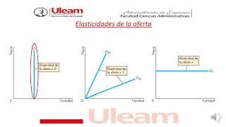 Elasticidad de la Oferta [upl. by Aticnemrac]