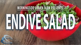 How to Make Endive Salad [upl. by Ramhaj]