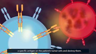 CAR TCell Therapy How Does It Work [upl. by Gardner]