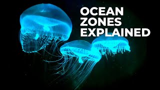 Ocean Zones — EXPLAINED [upl. by Estele]