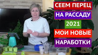 ГЛАВНЫЕ ПРАВИЛА ПОСАДКИ ПЕРЦА НА РАССАДУ ВЫПОЛНИТЕ ИХ И УРОЖАЙ ВАМ ОБЕСПЕЧЕН [upl. by Burr]