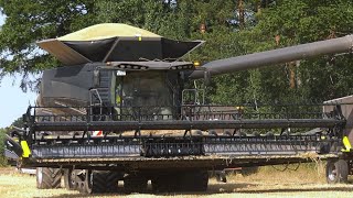 Neuer FENDT Mähdrescher IDEAL 7T ohne LENKRAD Getreideernte NEW Combine Harvester NO Steering Wheel [upl. by Ahsiekal]