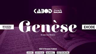 « Genèse »  LAncien Testament  La Sainte Bible audio VF Complète [upl. by Selmner]