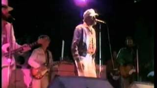 Sloop John B by The Beach Boys live 1980 [upl. by Fusuy]