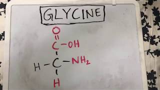 Glycine Structure  Amino Acid Basics [upl. by Ober]