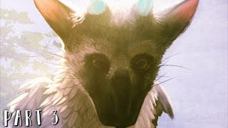 THE LAST GUARDIAN Walkthrough Gameplay Part 3  Knights PS4 PRO [upl. by Yramanna]