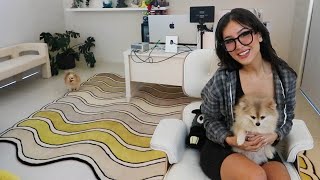 Sssniperwolf Room Tour in my New House [upl. by Hyacinthia]