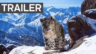 4K UHD Nature Documentaries [upl. by Gusella977]