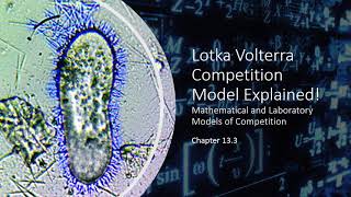 Lotka Volterra Interspecific Competition Model EXPLAINED [upl. by Namrehs]