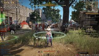 Black Desert Online Igor Bartalis Adventure Log chapter 5 Guide [upl. by Benil867]