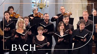 Bach  Motet Ich lasse dich nicht BWV anh 159  MacLeod  Netherlands Bach Society [upl. by Gentille314]