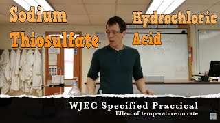 1525 Rates of Reaction  Temperature WJEC Chemistry GCSE [upl. by Damara]