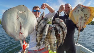 VENOMOUS Stingray Catch Clean Cook [upl. by Dyol]