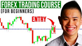 The Ultimate Forex Trading Course For Beginners [upl. by Lia]