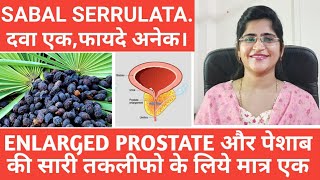 Sabal serrulata homeopathic medicine।Urine infection। [upl. by Iloj]