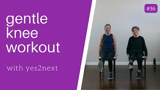 GENTLE KNEE WORKOUT  Seniors Beginner Exercisers [upl. by Astri419]