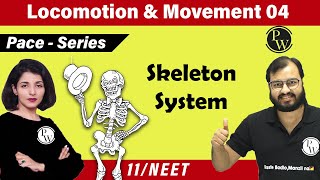 Movement and Locomotion 04  Skeleton System  Class 11  NEET  PACE SERIES [upl. by Alaunnoif]