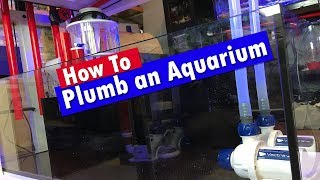 How to Plumb an Aquarium Tank and Sump  Reef tank plumbing [upl. by Teddman]