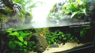 Stepped Waterfall Aquaterrarium for SCHOOLING FISH Paludarium l stepbystep [upl. by Aehta]