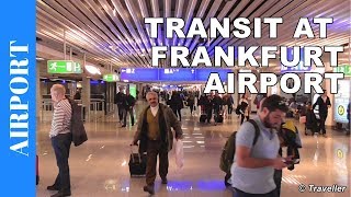 TRANSIT WALK AT FRANKFURT Airport FRA Terminal 1  Connection Flight Transfer Arriving amp Departing [upl. by Kraul]