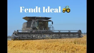 Fendt Ideal 8 PL en Normandie  Pierrot le paysan [upl. by Sivaj]